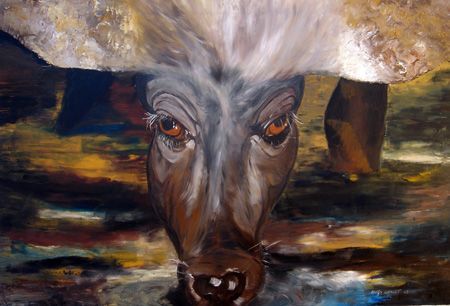 Regard